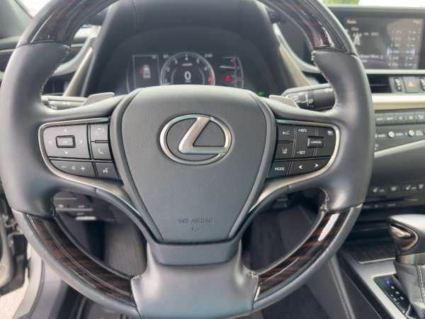 2021 Lexus ES 350 Luxury - photo 28